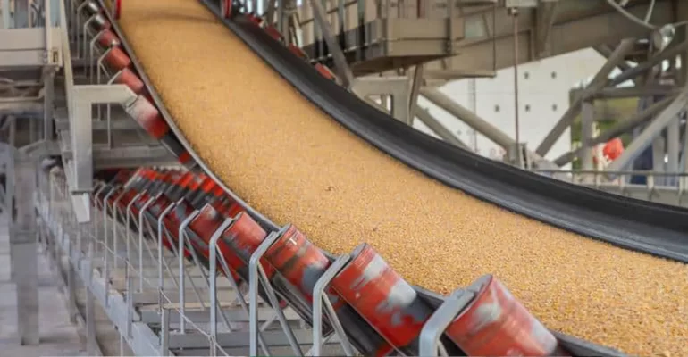 portada industria cerealera